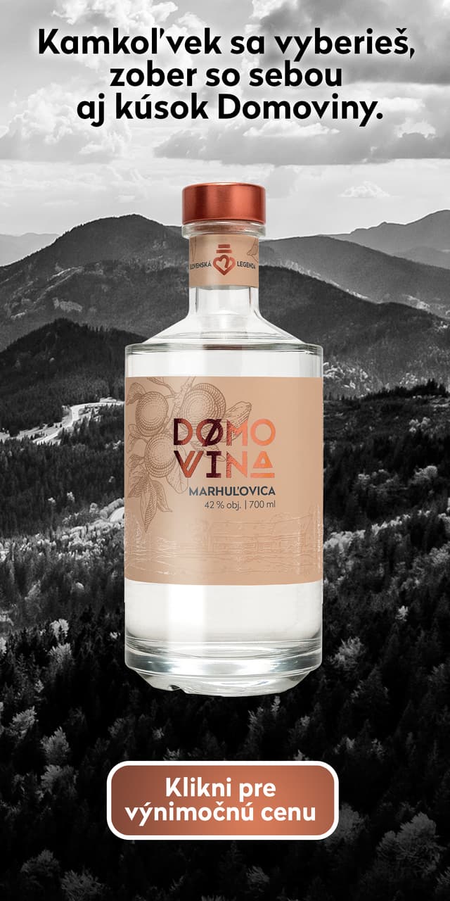 Nico- Domovina ART_INLINE 26-28