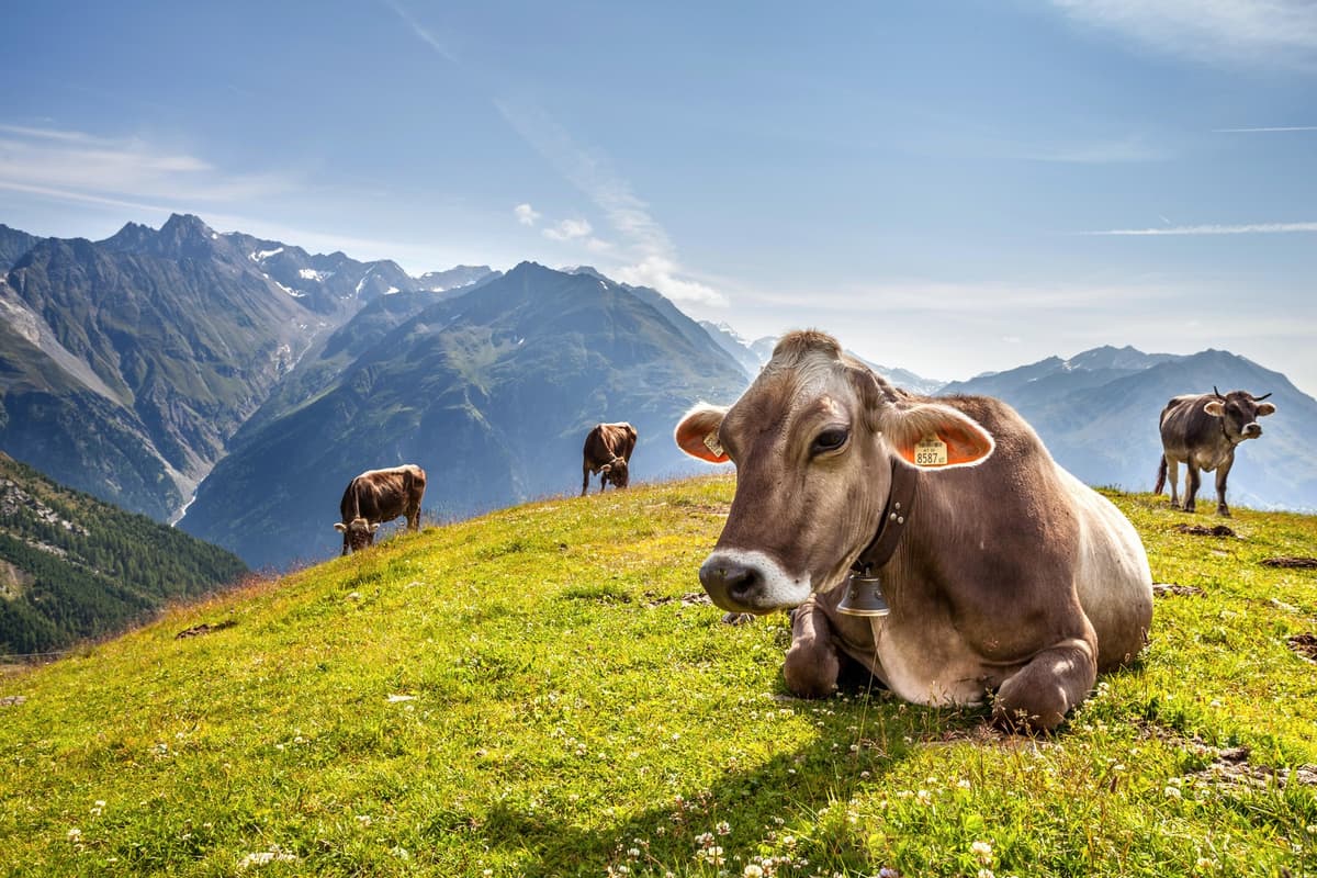 Foto: Cristian Mihaila / Alamy / Profimedia