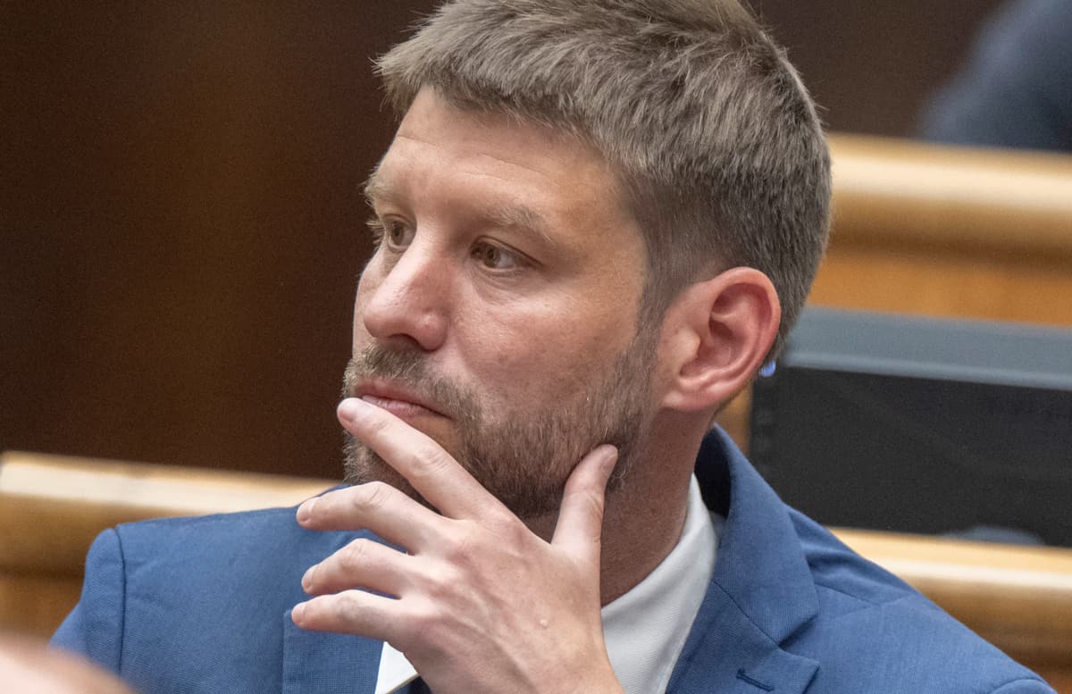Michal Šimečka. Foto Baumann/TASR