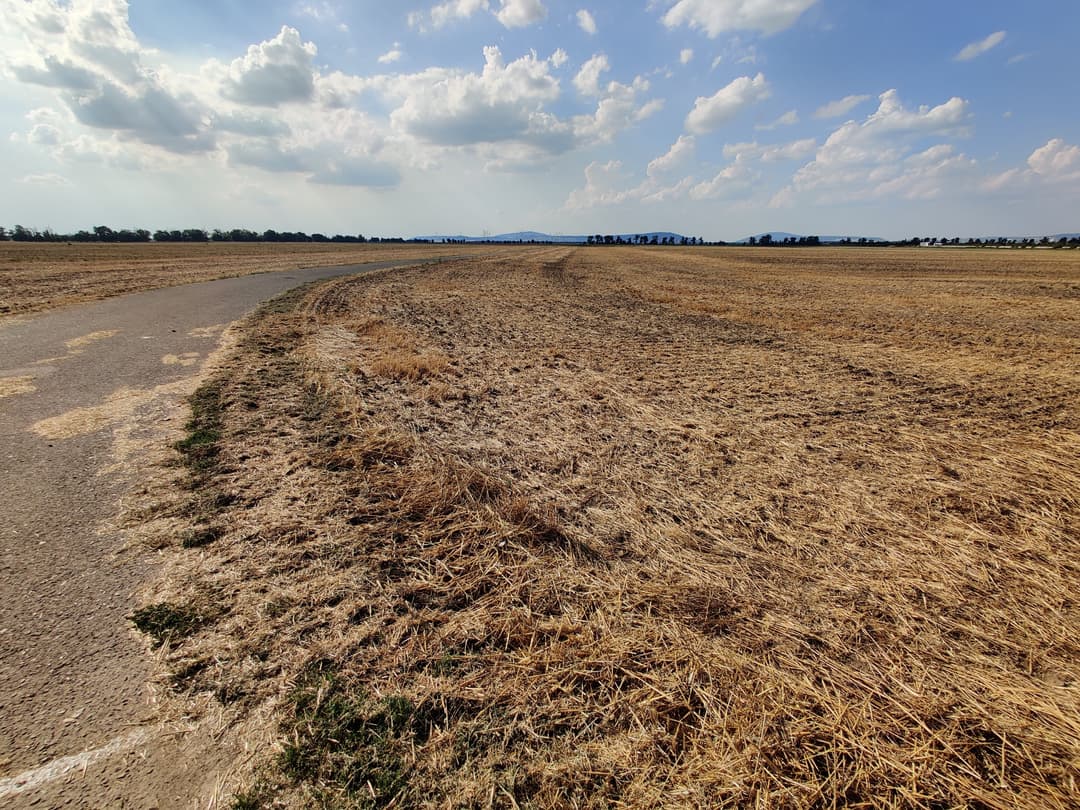 Na Sysľovských poliach je v lete sucho a horúco. Foto Wizzard/Wikimedia Commons