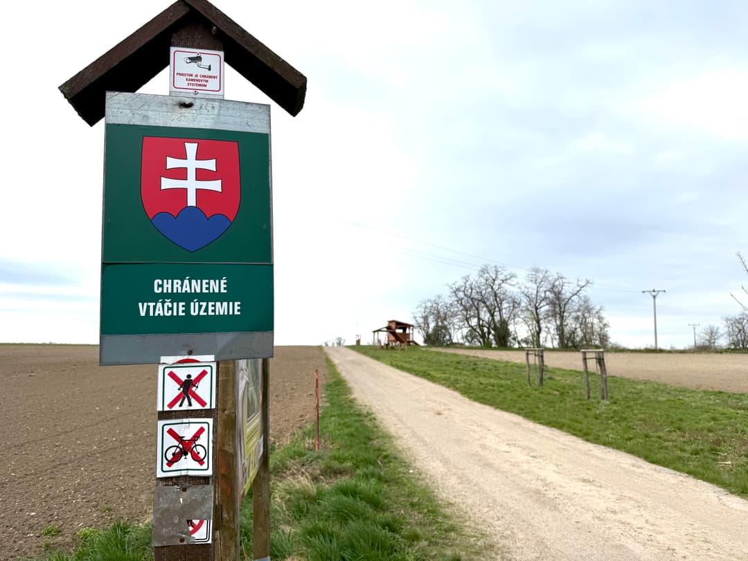 Tabuľa CHVÚ Sysľovské polia so zákazom vstupu pre chodcov a cyklistov, pričom v diaľke vidno prístrešok a pozorovateľňu vtáctva. Foto Dana Vitálošová