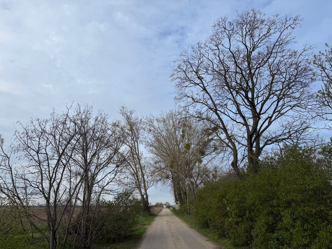 Trasa k CHVÚ Sysľovské polia od policajnej stanice v Rusovciach. Foto Dana Vitálošová