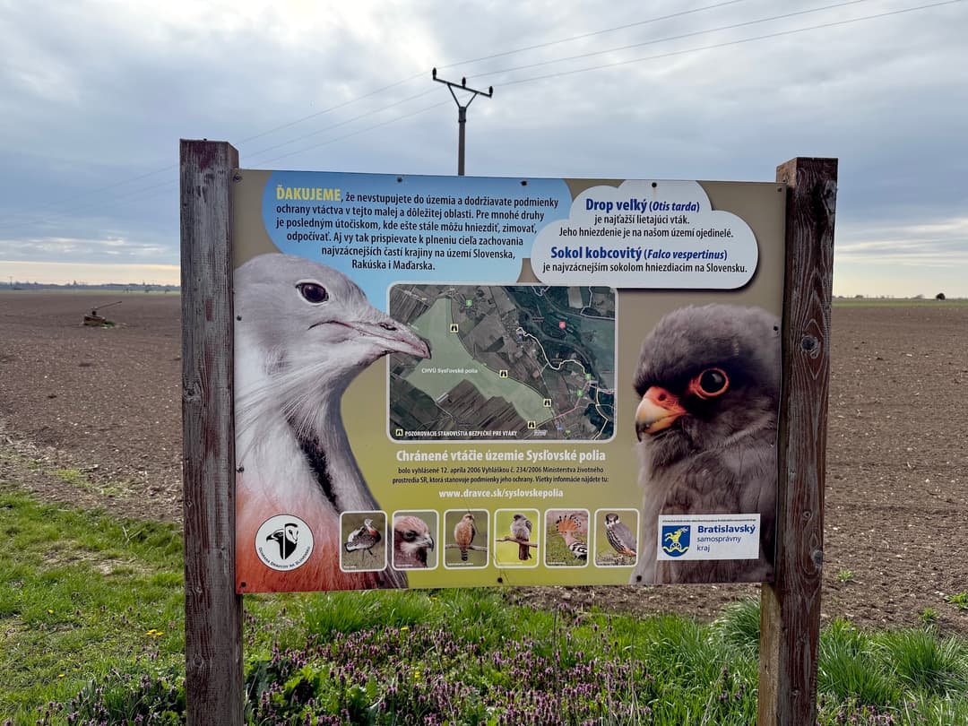 Vtáky vám ďakujú za to, že ich nenavštevujete. Tabuľa je v Sysľovských poliach hneď za zákazom vstupu pre chodcov a cyklistov. Foto Dana Vitálošová