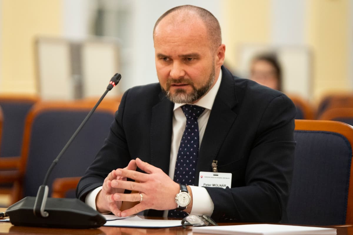 Ústavný sudca Peter Molnár. Foto: TASR/Jakub Kotian